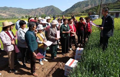 武山 統防統治為糧食生產“保駕護航”